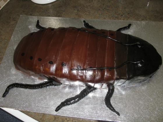 beetle-design-cake
